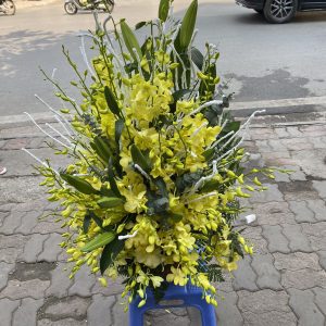 chau hoa tang le HTL25