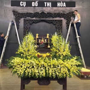 hoa tang le HTL12