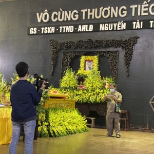hoa tang le HTL3