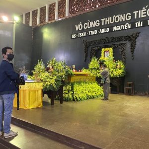 hoa tang le HTL4