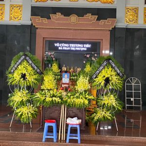 hoa tang le HTL55