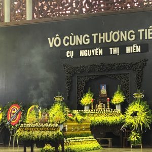 hoa tang le HTL6