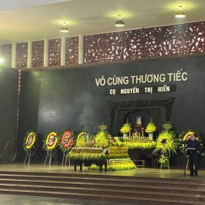 hoa tang le HTL7